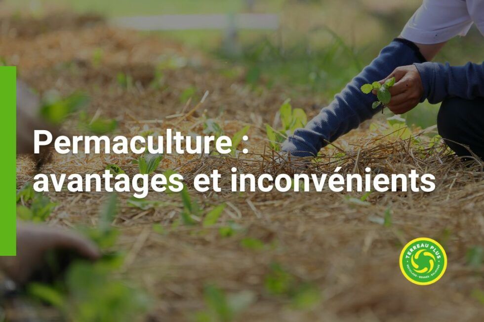 Permaculture Avantages Et Inconv Nients Terreau Plus